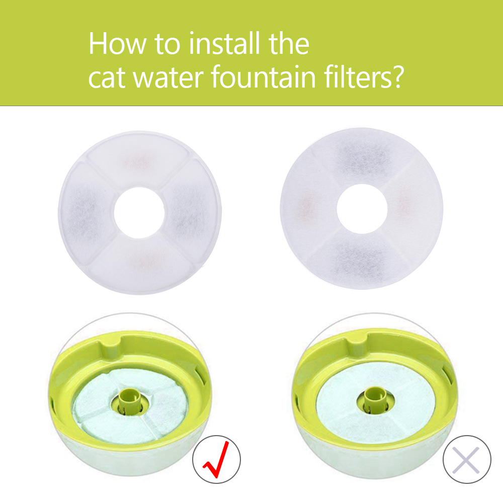 Fountain Filter Pioneer Pet Care Guide