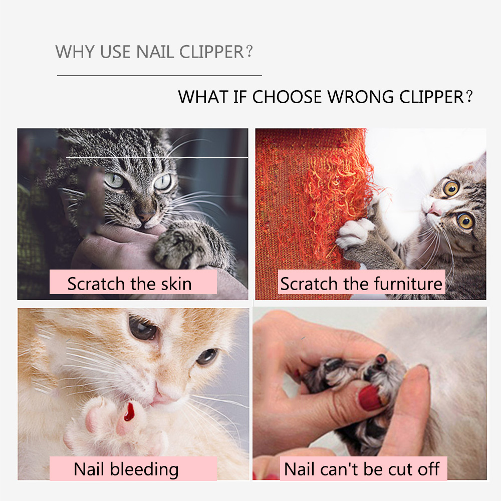  Essential Guide to Clipping Pet Nails: Tips, Techniques, and Tools for a Stress-Free Experience